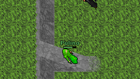 Pulino on screen