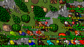Shaelion on screen
