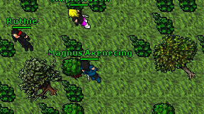 Magnus Axenecing on screen