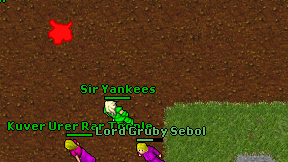 Sir Yankees on screen