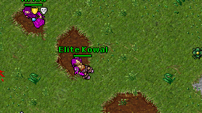 Elite Kowal on screen