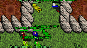 Mecro druid on screen