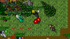 Kileryendi on screen