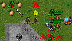Kapers on screen