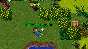 Garbol Gogolin on screen