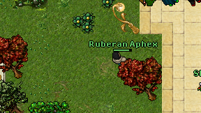 Ruberan Aphex on screen
