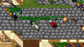 Paladin-Maladin on screen