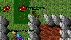Dudi-Palek on screen