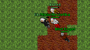 Ekonom'ek on screen
