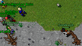 Noskaje on screen