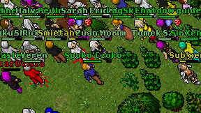 Spoko'Czoko on screen