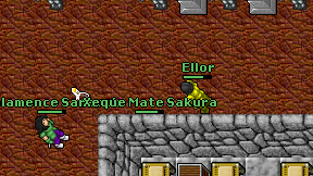 Ellor on screen