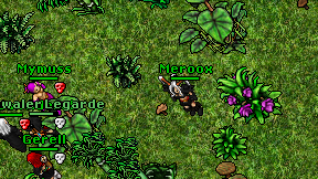 Meroox on screen