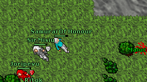 Samurai Of Honour on screen