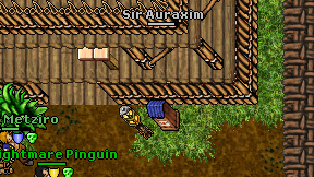 Sir Auraxim on screen