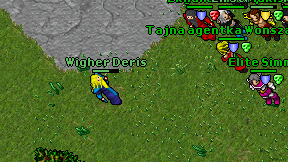 Wigher Deris on screen