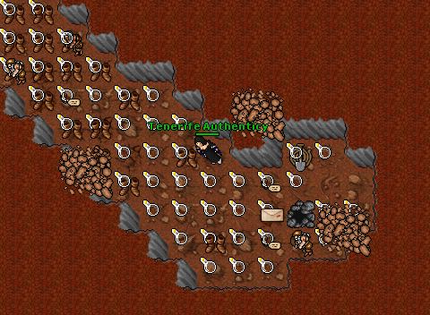 Crusaderquest