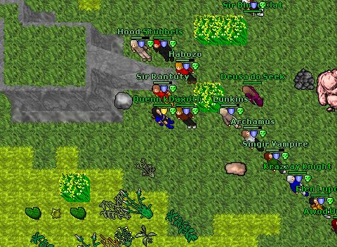 Elf village