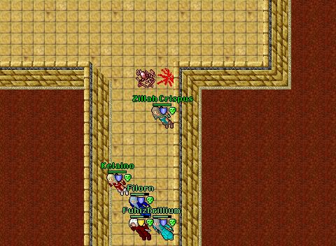 Lvl 8 behehunt