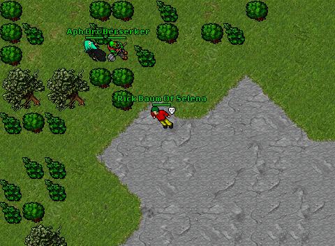 Rick pking 2