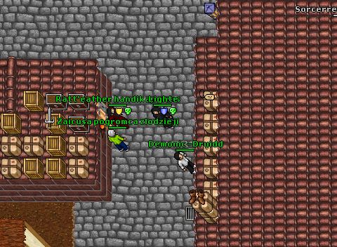 Pking elysia