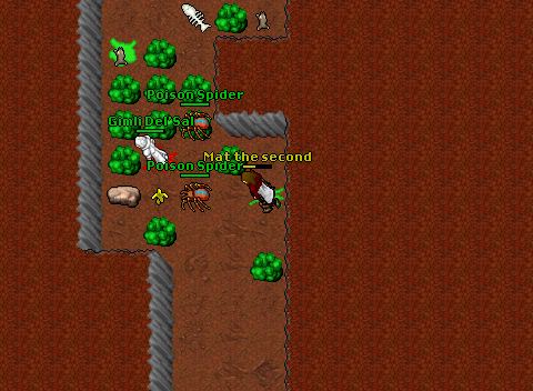 Lvl 57 macroing near mint