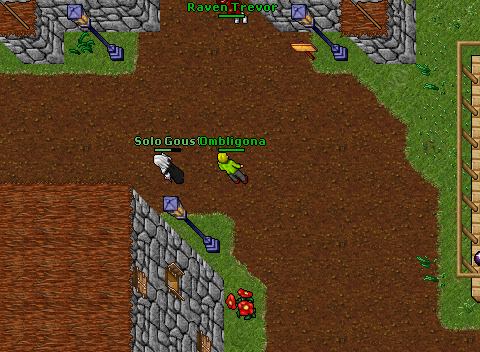 Ombligona-131ED Fortera Drop EK outside DP