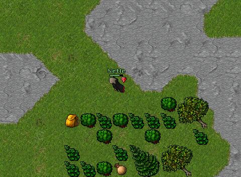 Jimhighwind Dead