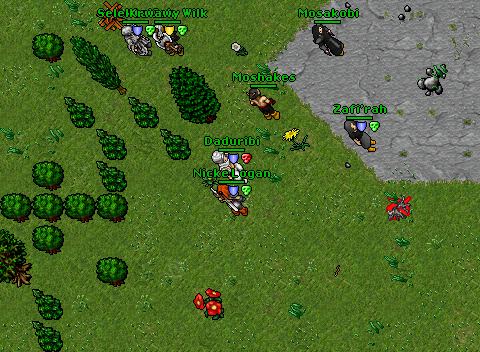 Dec Night x Alliance 2008-06-02 Dw Bridge Dadu
