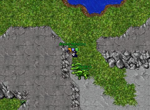 Alsonhuntydra