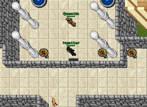 Noob