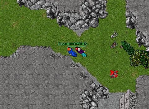 Toy Fighter Pwned