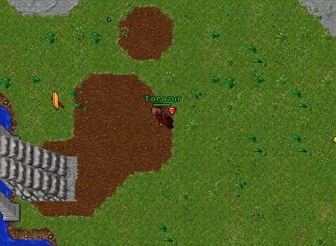 TorazurOCfight