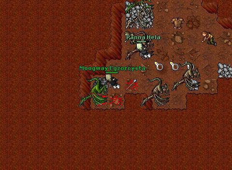 42 MsDLSolo