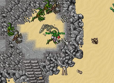 Ankrahmun attack
