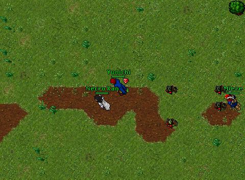 Gecaj dead