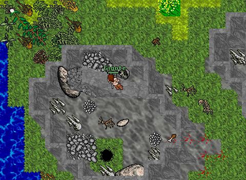 Dl Solo 33 sorc