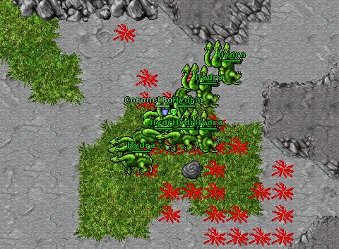 Hydras pelegon