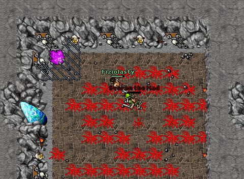 Arena