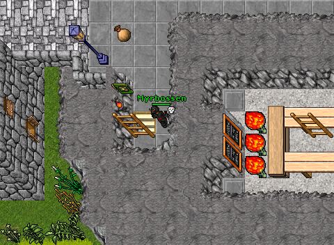 Sneakzor POH