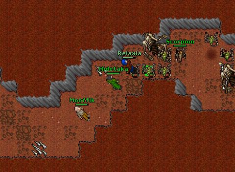 Hide dragonland