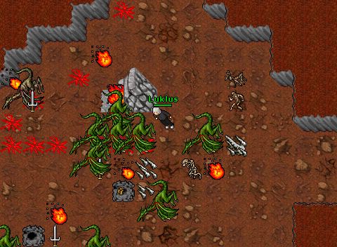 Multispawndragi