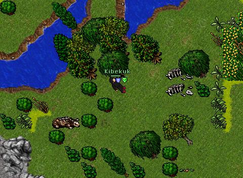 Quest 1