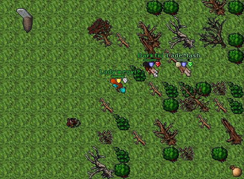 Pking in trimera