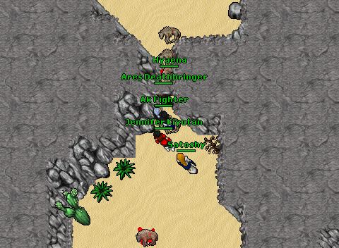 Hydra egg
