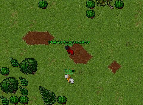 Stalk pk 9