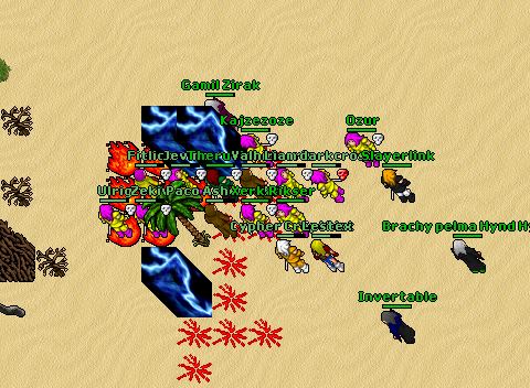 War Aurea Ankfight