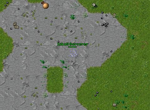 80 eldernicepkniceloot