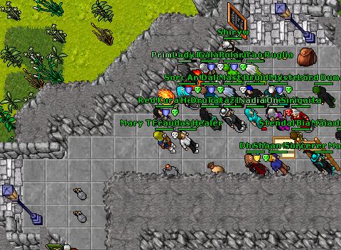 Palynuub