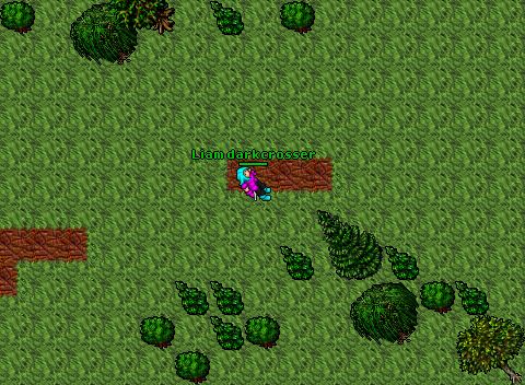 BIG Fight Aurea 2